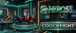 cockfight